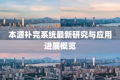 本源补完系统最新研究与应用进展概览