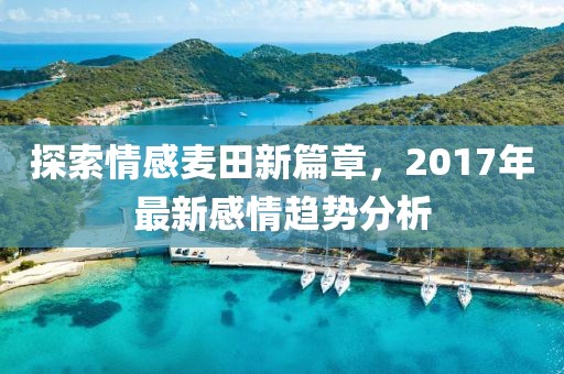 探索情感麦田新篇章，2017年最新感情趋势分析