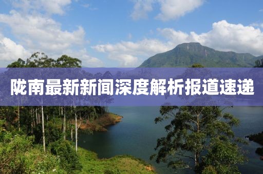 陇南最新新闻深度解析报道速递