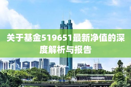 关于基金519651最新净值的深度解析与报告