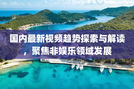 国内最新视频趋势探索与解读，聚焦非娱乐领域发展