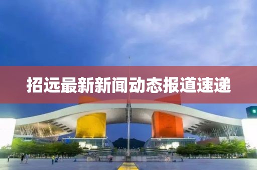 招远最新新闻动态报道速递