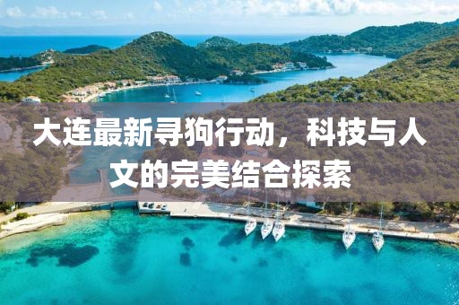 大连最新寻狗行动，科技与人文的完美结合探索