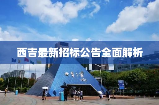 西吉最新招标公告全面解析