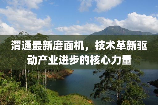 渭通最新磨面机，技术革新驱动产业进步的核心力量
