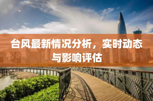 台风最新情况分析，实时动态与影响评估
