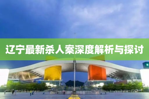 辽宁最新杀人案深度解析与探讨