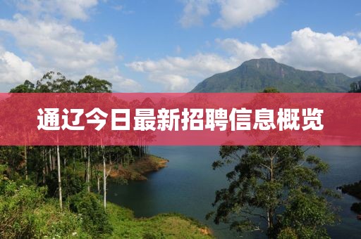 通辽今日最新招聘信息概览