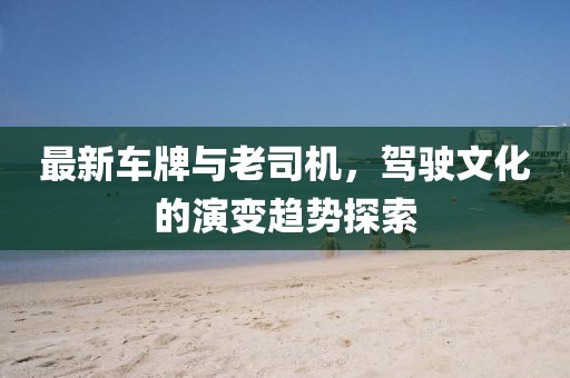 最新车牌与老司机，驾驶文化的演变趋势探索