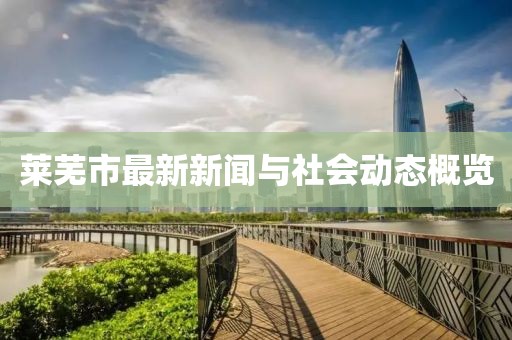 莱芜市最新新闻与社会动态概览