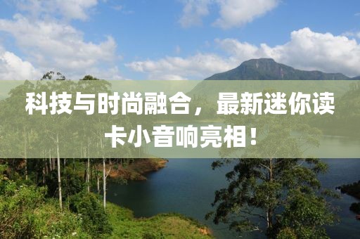科技与时尚融合，最新迷你读卡小音响亮相！