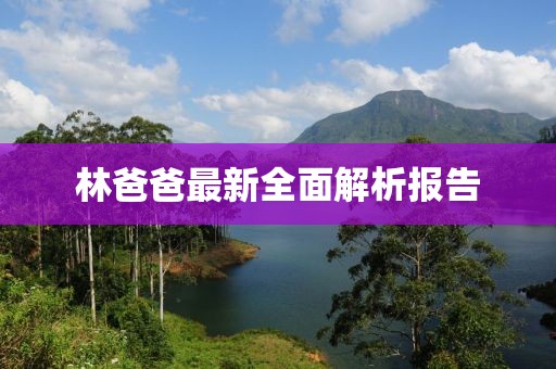 林爸爸最新全面解析报告