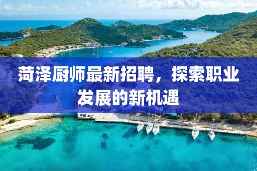 菏泽厨师最新招聘，探索职业发展的新机遇