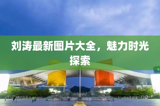 刘涛最新图片大全，魅力时光探索