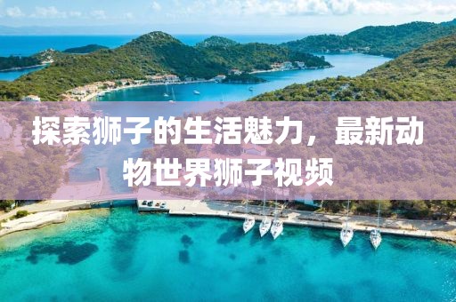 探索狮子的生活魅力，最新动物世界狮子视频