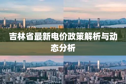 辣条协会会长 第13页