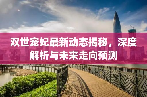 双世宠妃最新动态揭秘，深度解析与未来走向预测