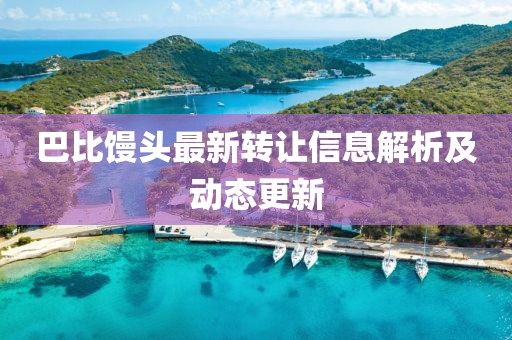 巴比馒头最新转让信息解析及动态更新