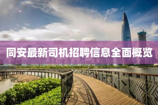 同安最新司机招聘信息全面概览