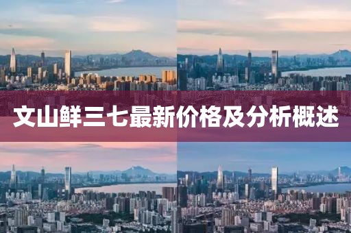文山鲜三七最新价格及分析概述