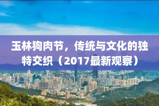 玉林狗肉节，传统与文化的独特交织（2017最新观察）