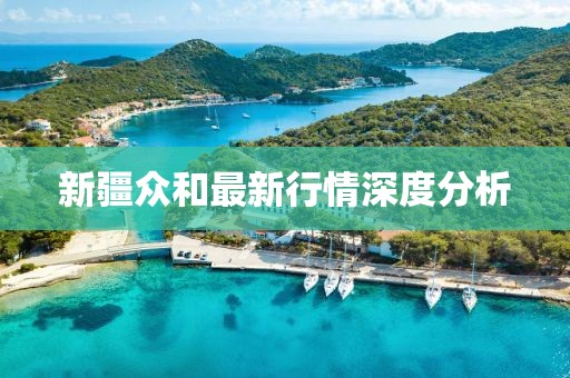 新疆众和最新行情深度分析