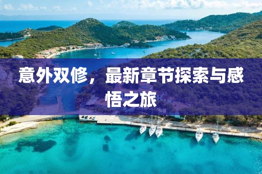 意外双修，最新章节探索与感悟之旅
