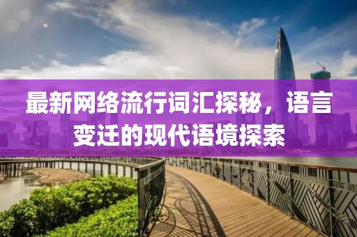 最新网络流行词汇探秘，语言变迁的现代语境探索