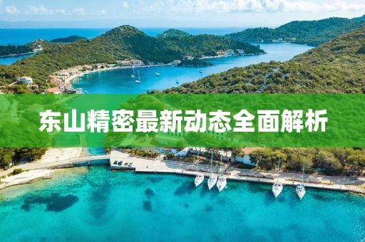 东山精密最新动态全面解析