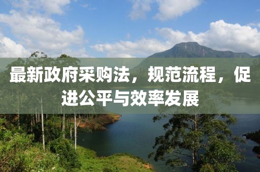 最新政府采购法，规范流程，促进公平与效率发展