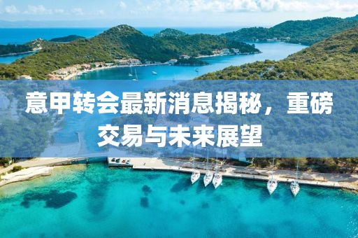 意甲转会最新消息揭秘，重磅交易与未来展望