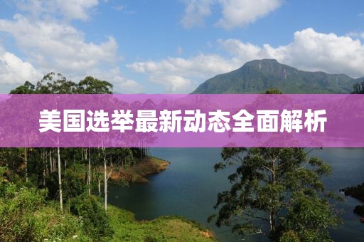 美国选举最新动态全面解析