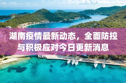 湖南疫情最新动态，全面防控与积极应对今日更新消息