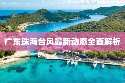 广东珠海台风最新动态全面解析