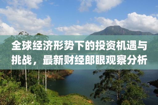 全球经济形势下的投资机遇与挑战，最新财经郎眼观察分析