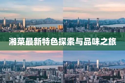 湘菜最新特色探索与品味之旅