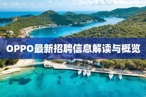 OPPO最新招聘信息解读与概览