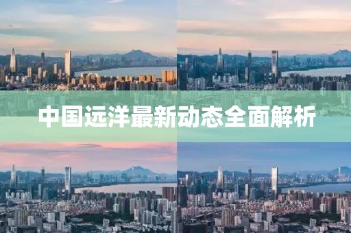 中国远洋最新动态全面解析