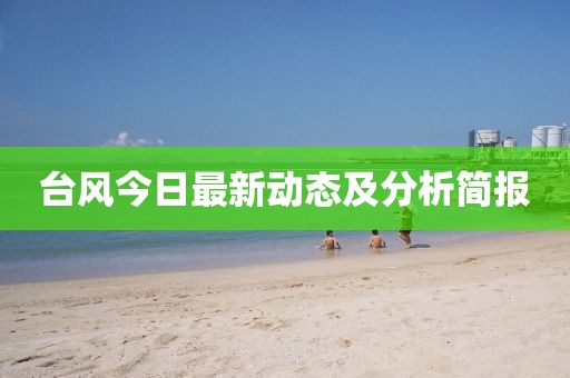 台风今日最新动态及分析简报