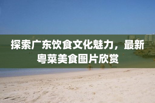 探索广东饮食文化魅力，最新粤菜美食图片欣赏