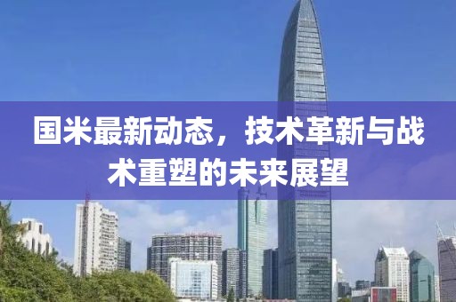 国米最新动态，技术革新与战术重塑的未来展望