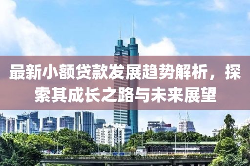 最新小额贷款发展趋势解析，探索其成长之路与未来展望