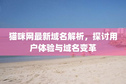 猫咪网最新域名解析，探讨用户体验与域名变革