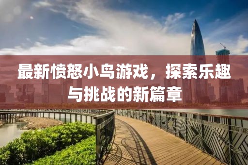 最新愤怒小鸟游戏，探索乐趣与挑战的新篇章