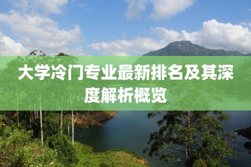 大学冷门专业最新排名及其深度解析概览