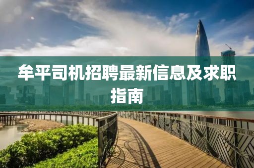 牟平司机招聘最新信息及求职指南