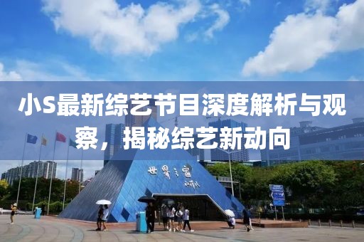 小S最新综艺节目深度解析与观察，揭秘综艺新动向