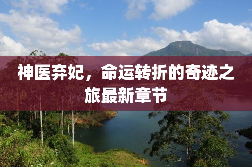 神医弃妃，命运转折的奇迹之旅最新章节