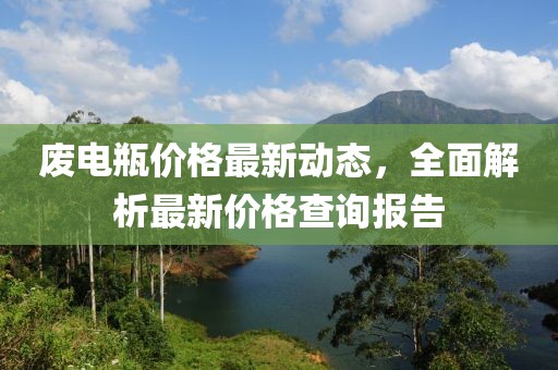 废电瓶价格最新动态，全面解析最新价格查询报告