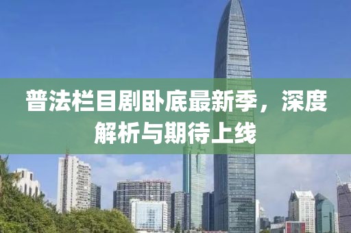 普法栏目剧卧底最新季，深度解析与期待上线